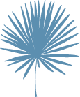 palm graphic.png